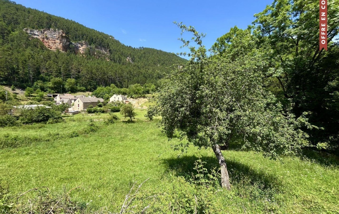 SOLOGEC IMMOBILIER : Terrain | LANUEJOLS (48000) | 0 m2 | 33 000 € 